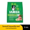Iams ไอแอมส์ โปรแอคทีฟเฮลท์ อาหารสุนัขแบบเม็ด สำหรับสุนัขโตทุกสายพันธุ์ 3 kg - Image 2